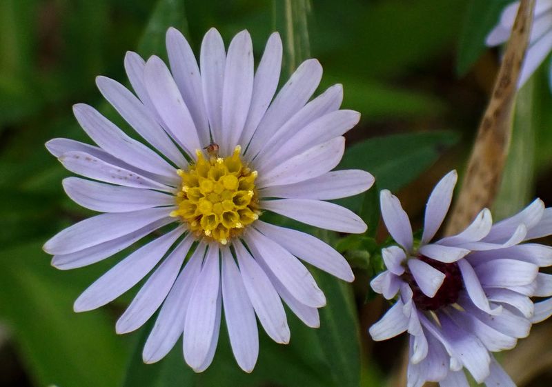 P9178381 TG6MLR2023.jpg