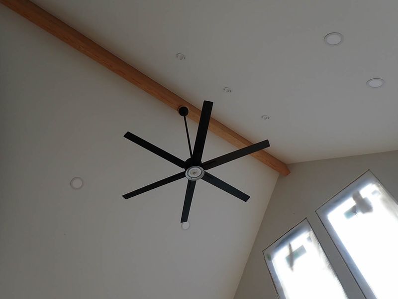 P9188397 TG6MLR2023.jpg