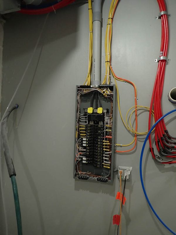 P9188403 TG6MLR2023.jpg