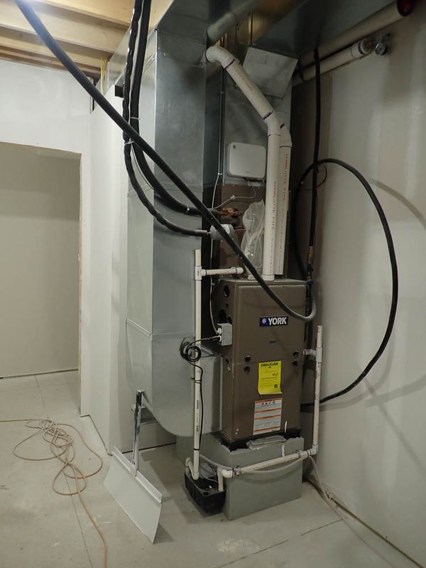 P9188405 TG6MLR2023.jpg