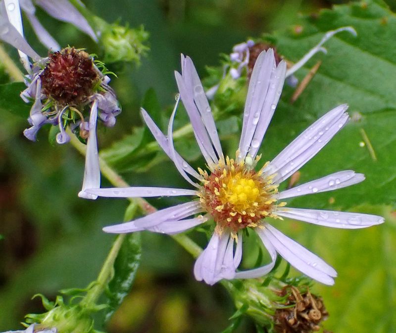 P9258471 TG6MLR2023.jpg