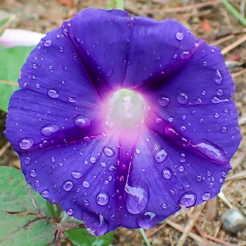 P9258479 TG6MLR2023.jpg