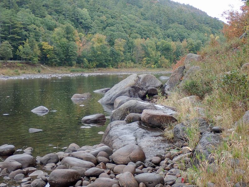 P9258506 TG6MLR2023.jpg