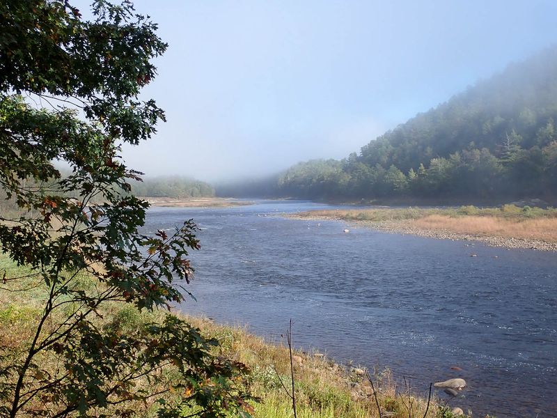 P9278519 TG6MLR2023.jpg