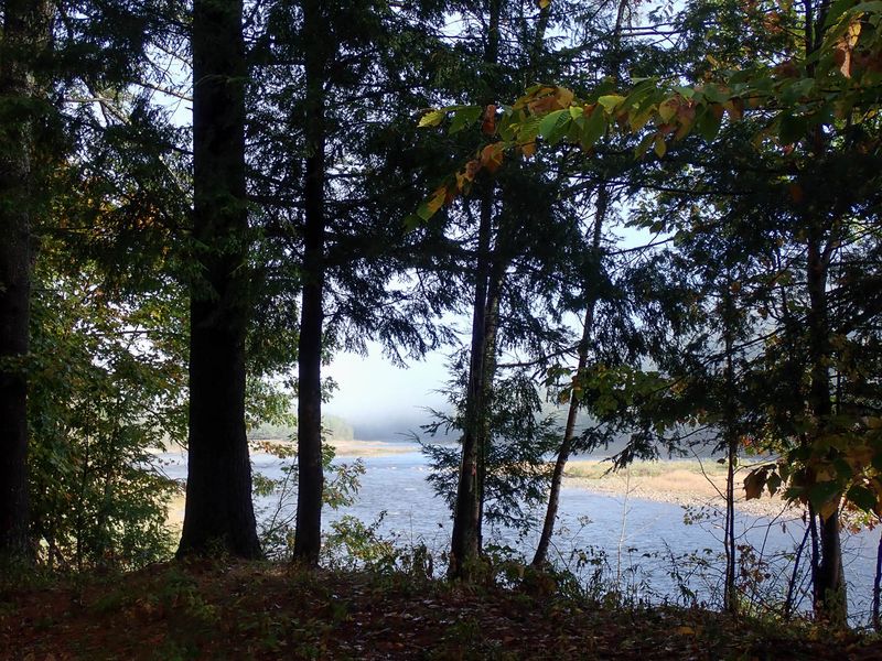 P9278523 TG6MLR2023.jpg