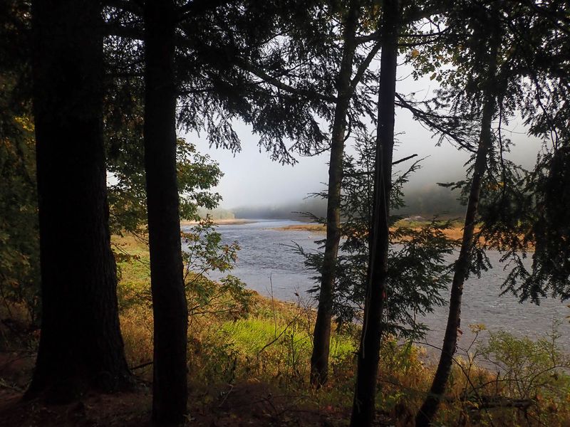 P9272415 MLR2023.jpg