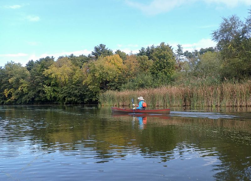 P9298533 TG6MLR2023.jpg