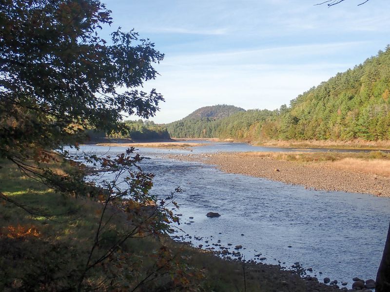 PA062480 MLR2023.jpg