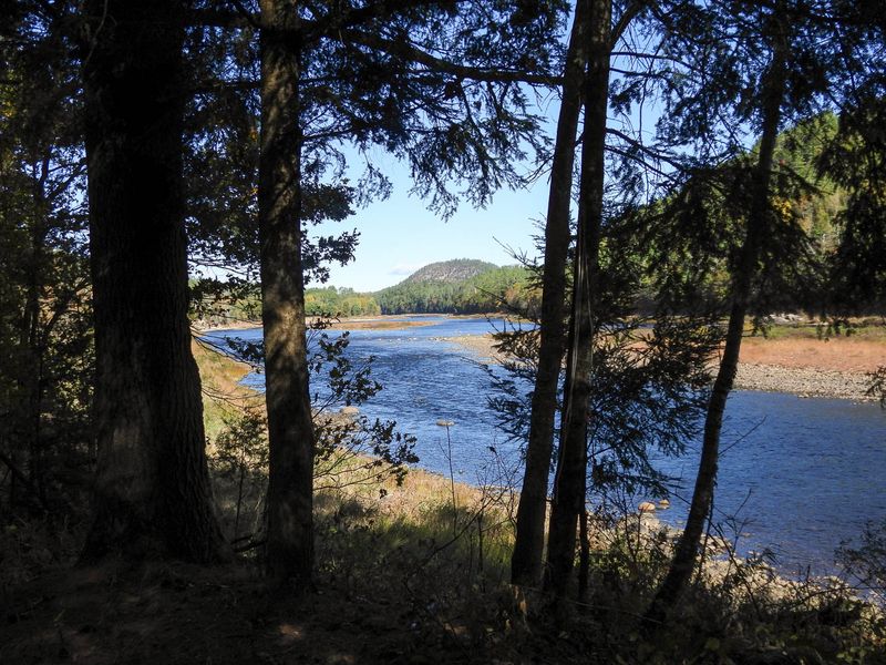 DSCN0692 MLR2023.jpg