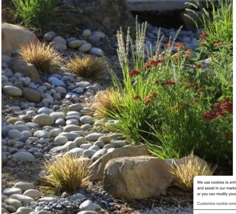 Rock Garden idea 2.jpg