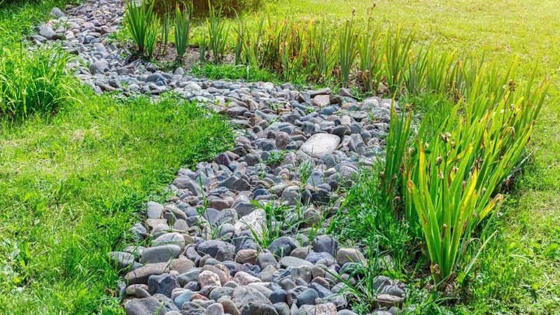Rock garden idea 3.jpg