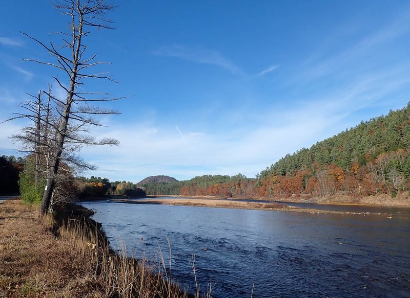PA258676 TG6MLR2023.jpg