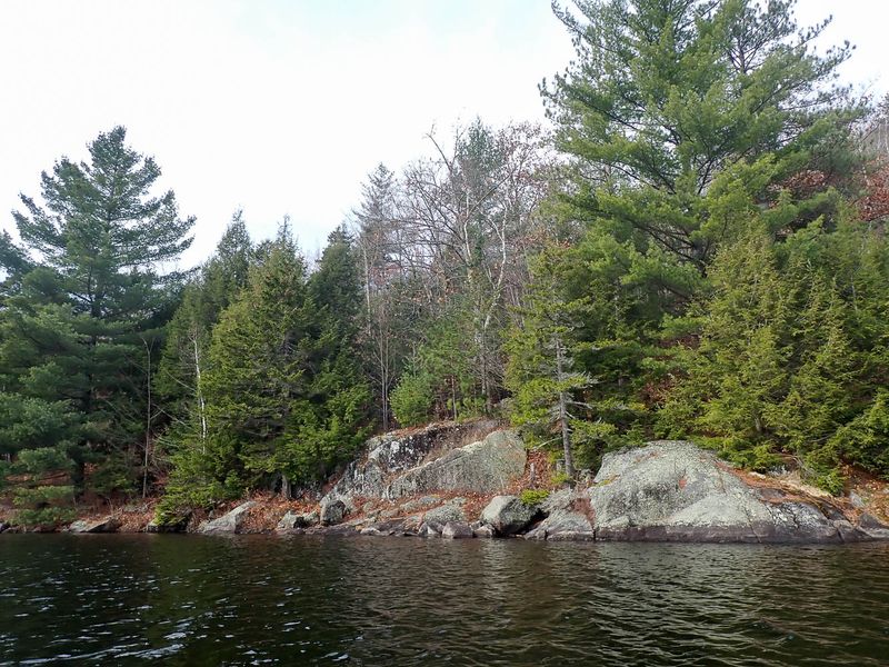 PA308693 TG6MLR2023.jpg