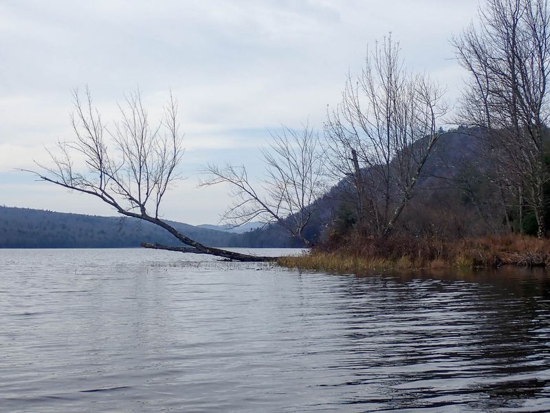 PA308696 TG6MLR2023.jpg