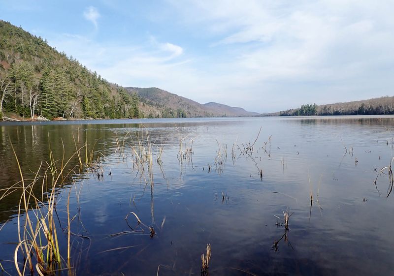 PA308717 TG6MLR2023.jpg