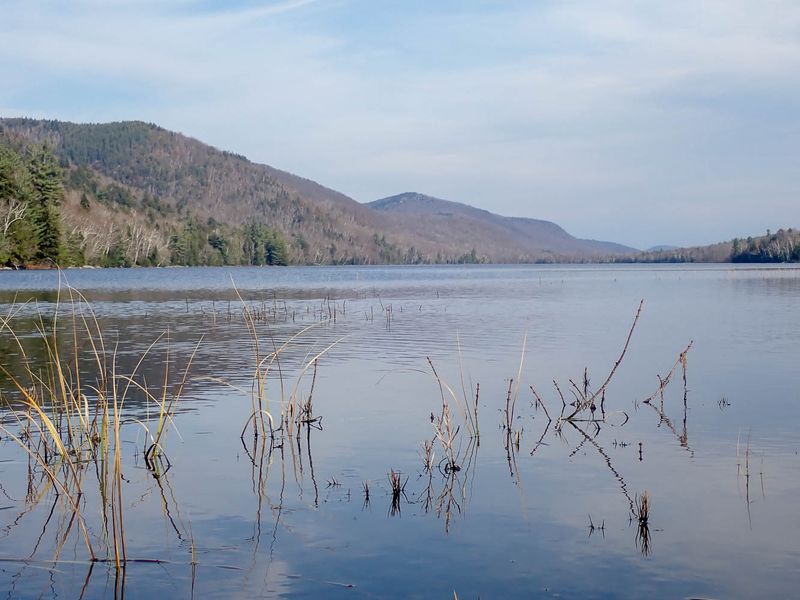 PA308719 TG6MLR2023.jpg