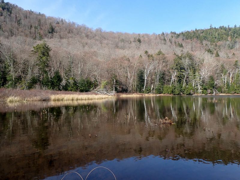 PA308722 TG6MLR2023.jpg