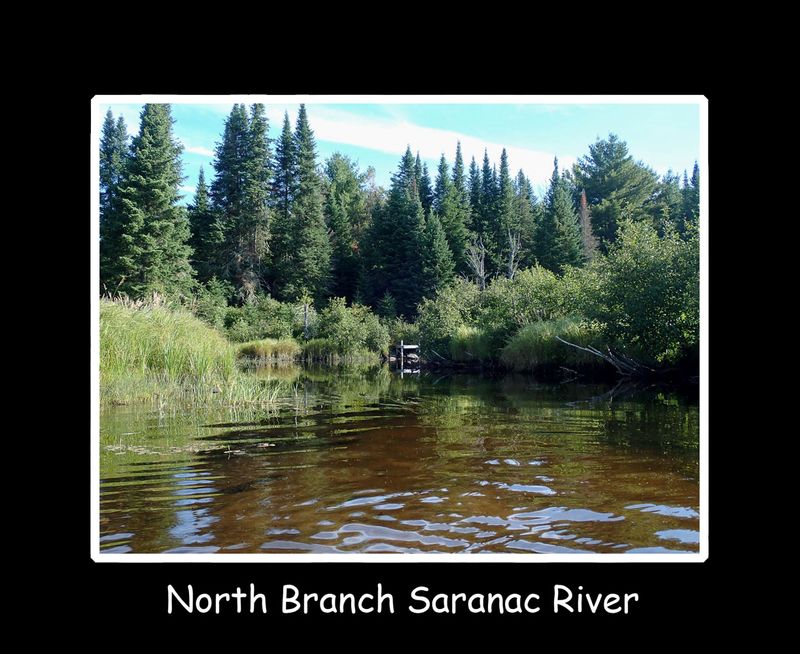 N Branch Saranac River.jpg