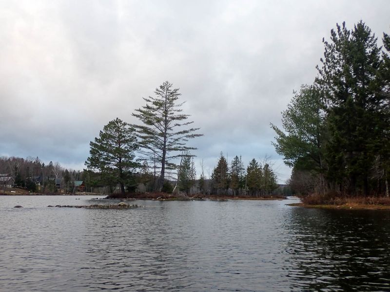 PB078744 TG6MLR2023.jpg