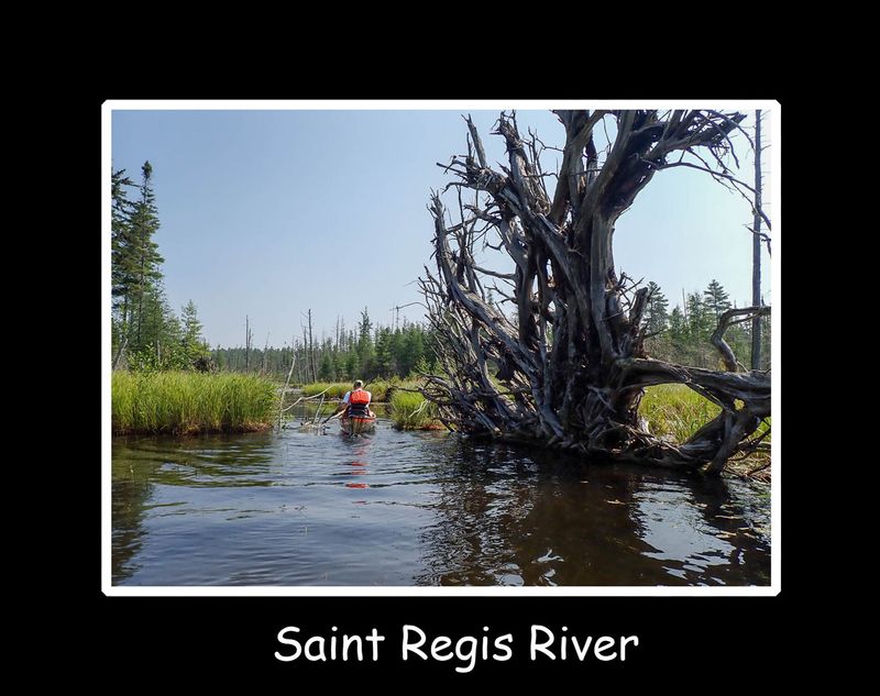 saint regis river.jpg