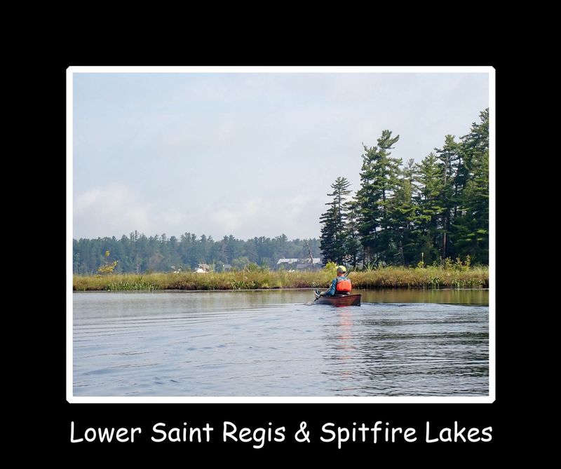 lower saint regis.jpg
