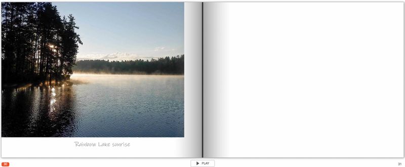 Screen Shot 2024-11-17 at 6.37.19 AM MLR.jpg