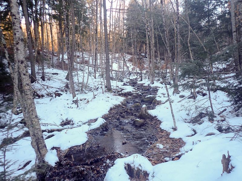 PC149038 TG6MLR2023.jpg