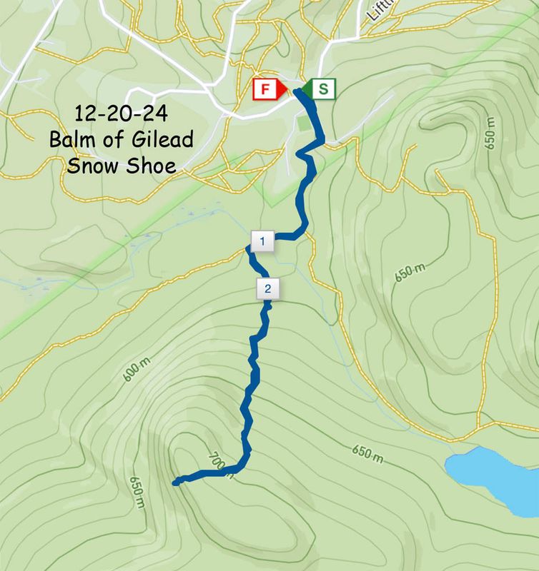 12-20-24 snow shoe map.jpg