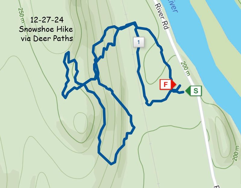 12-27-24 snowshoe.jpg
