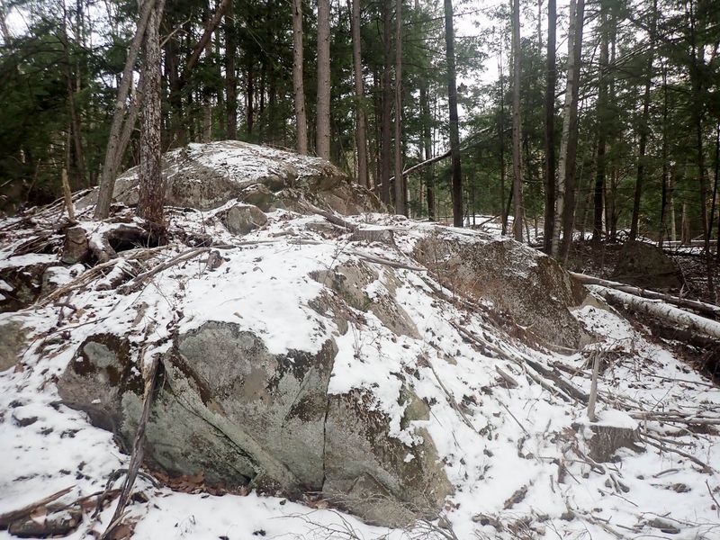 P1079292 TG6MLR2023.jpg