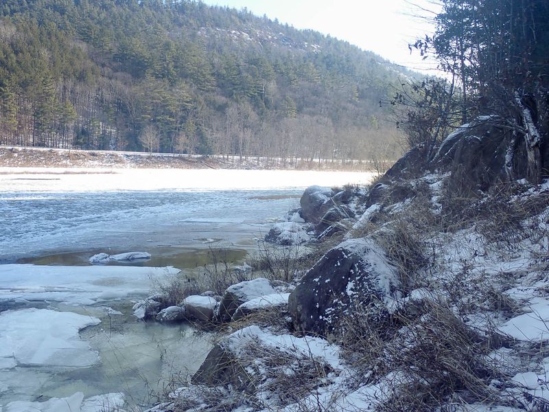 P1179388 TG6MLR2023.jpg