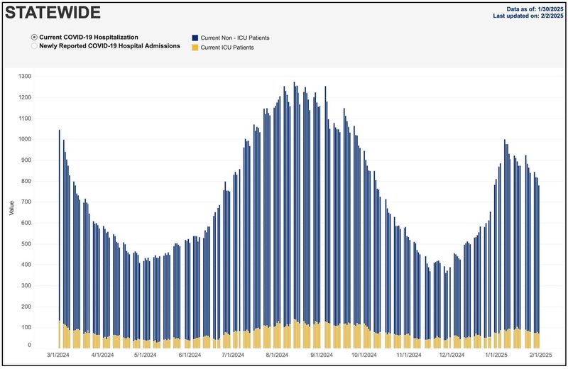 2-1-25 NYS hospitalizations.jpg