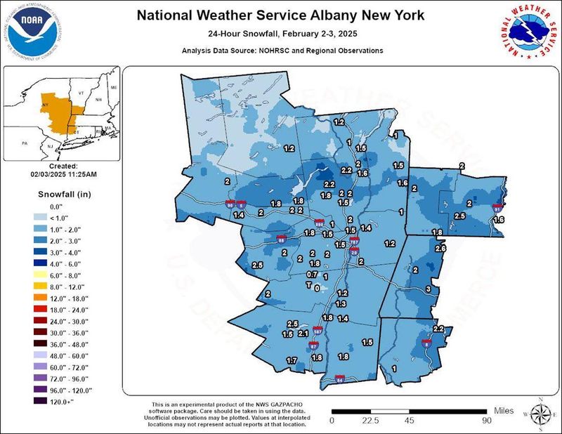 feb 2-3 snowfall.jpg