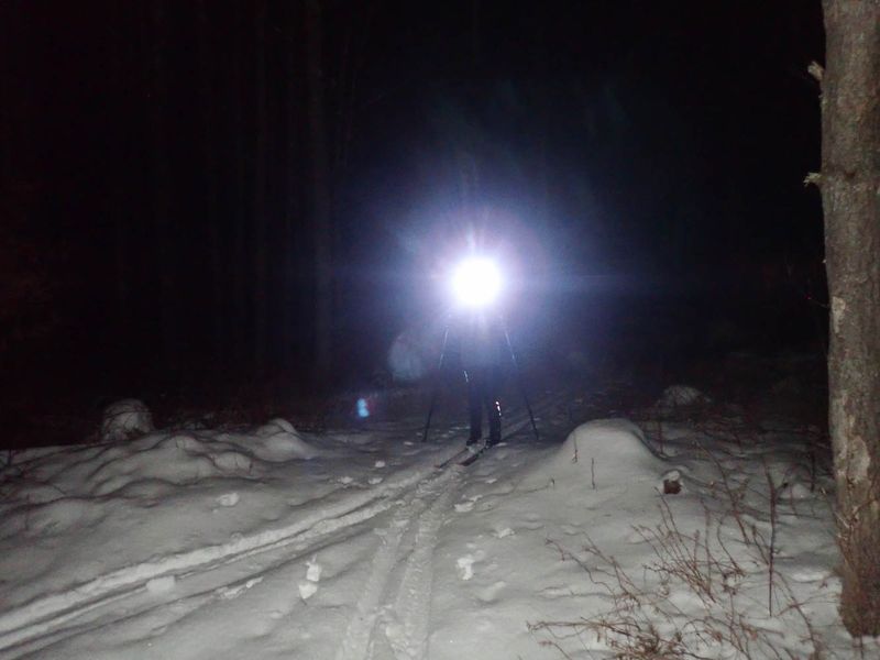 P2042998 MLR2023.jpg
