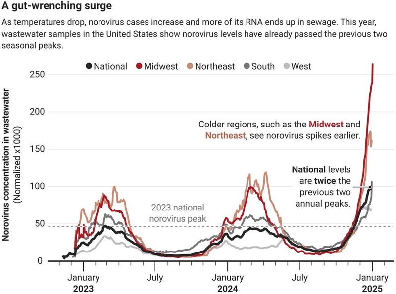 Norovirus graph.jpeg