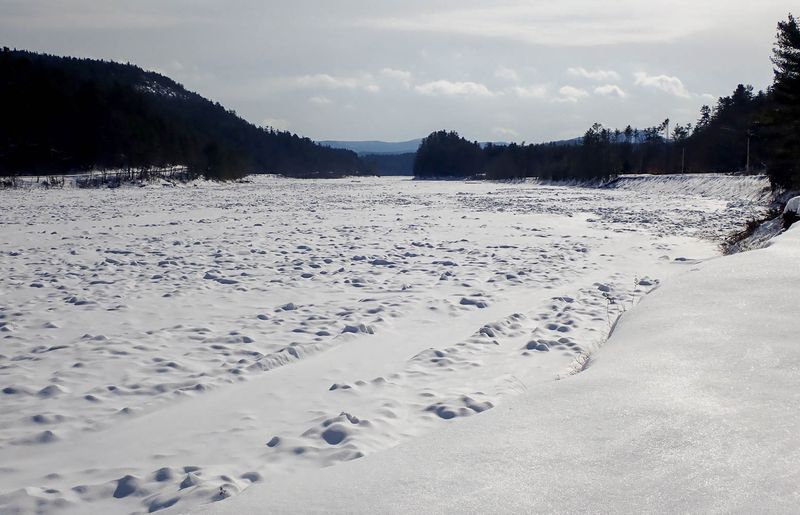 P2119601 TG6MLR2023.jpg