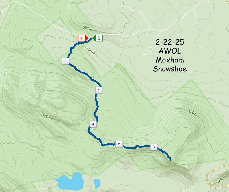 2-22-25 AWOL Hike.jpg