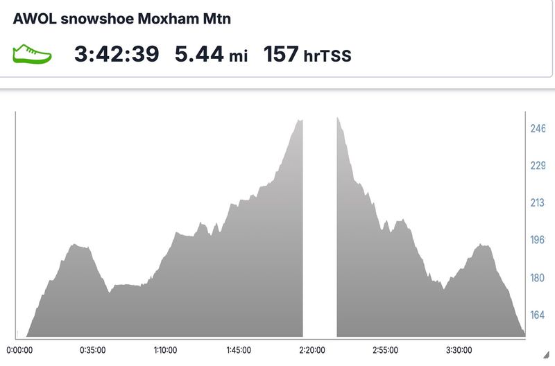 2-22-24 Moxham elevation.jpg
