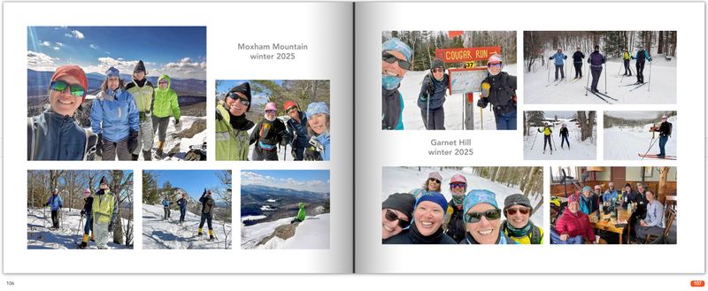 AWOL Picture Book 2010 - 2025
