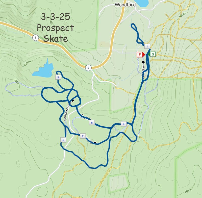 3-3-25 skate map.jpg