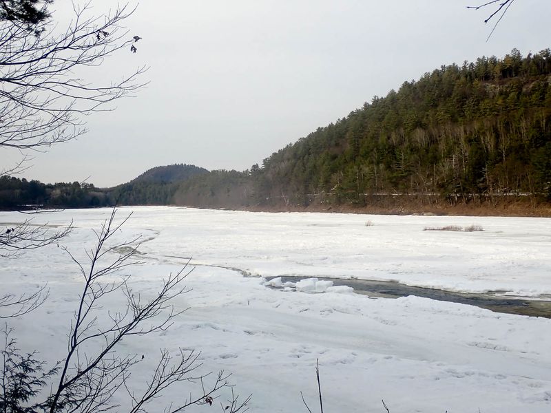 P3139852 TG6MLR2023.jpg
