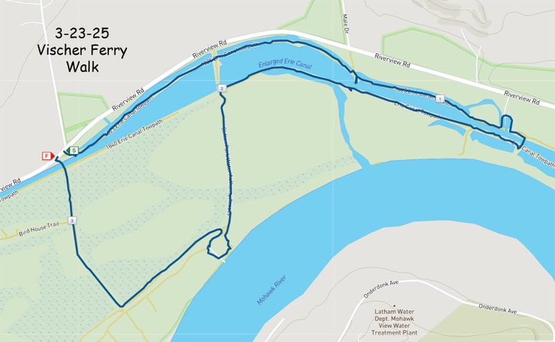 3-23-25 walk map.jpg