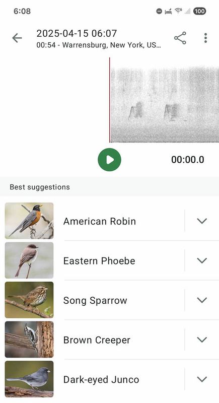 Screenshot_20250415_060840_Merlin Bird ID MLR2023.jpg