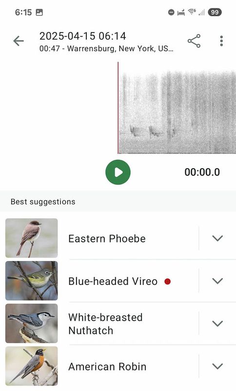 Screenshot_20250415_061513_Merlin Bird ID MLR2023.jpg