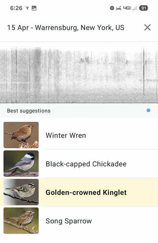 Screenshot_20250415_062608_Merlin Bird ID MLR2023.jpg