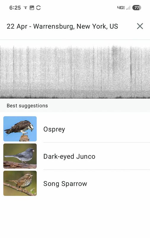 Screenshot_20250422_182515_Merlin Bird ID MLR2023.jpg