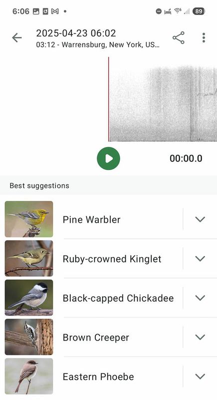 Screenshot_20250423_060605_Merlin Bird ID MLR2023.jpg