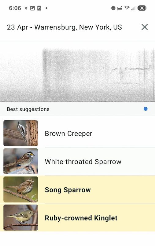Screenshot_20250423_060659_Merlin Bird ID MLR2023.jpg