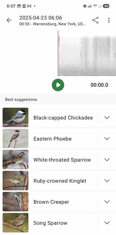 Screenshot_20250423_060725_Merlin Bird ID MLR2023.jpg