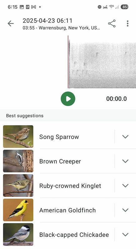 Screenshot_20250423_061529_Merlin Bird ID MLR2023.jpg